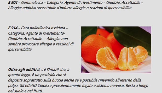L’etica di Slow Food scivola sulla cera d’api?…