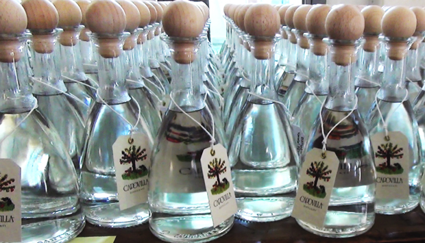 Capovilla: dal vicentino, la leggenda della grappa incanta il mondo