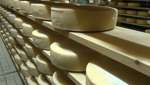 Perenzin, nel trevigiano un mondo di bontà intorno al formaggio