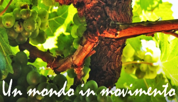 In Toscana, sulle Strade del Vino, dell’Olio e dei Sapori