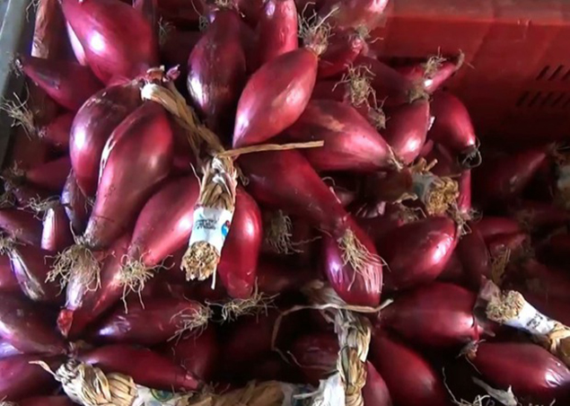 Delizie Vaticane di Tropea, tempio della cipolla rossa di Calabria
