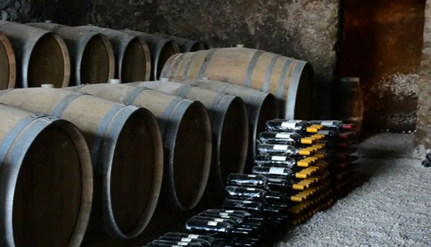 La Sibilla, vini campani dai Campi Flegrei: meno quantità, più qualità