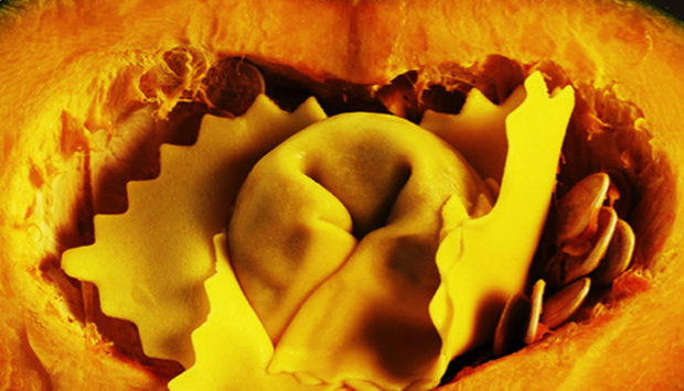 Pastificio Artusi nel padovano, 100 formati tra classici e gourmet