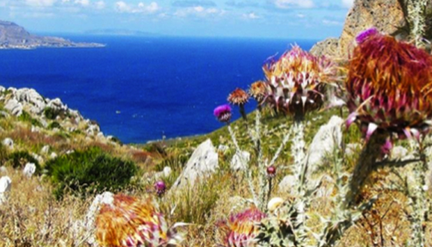 Riserva di Monte Cofano, la bellezza Naturale di Custonaci (TP)