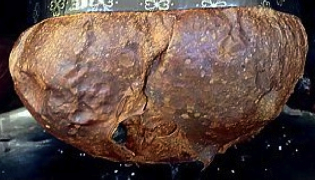 Il panettone nasce d’estate in Sicilia, fra funghi, tartufi e rock