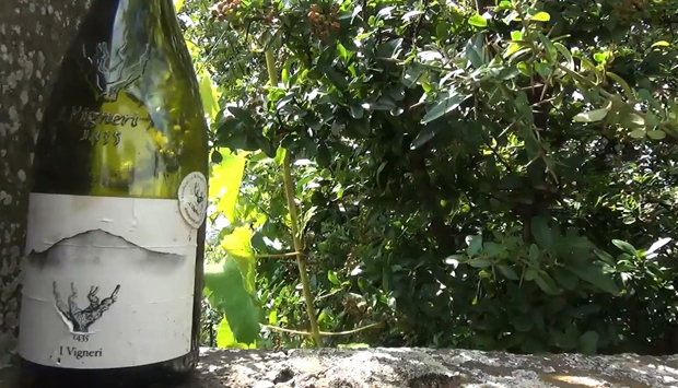 I Vigneri dell’Etna, l’unione (dei vignaioli) fa la forza (del vino)