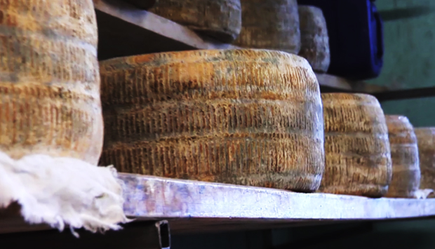 Lo Strachitunt, atavico formaggio bergamasco