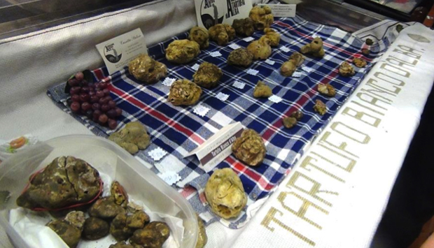 Come si acquista e si usa in cucina il Tartufo Bianco d’Alba