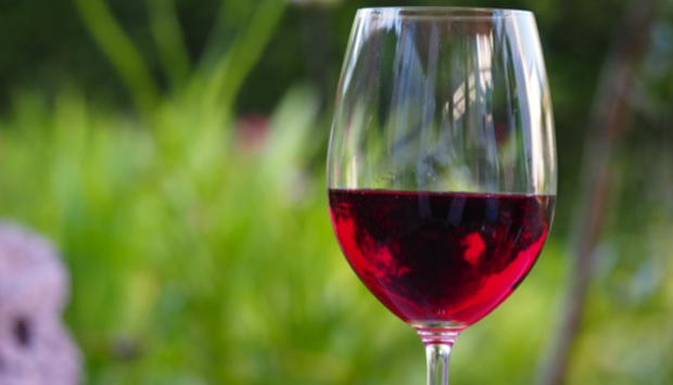 Le curiose storie dei vini proibiti: Fragolino, Clinton,  Noax e Bacò