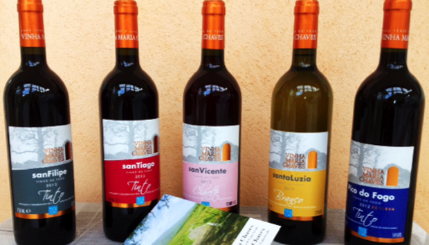 Da Capo Verde, vini africani dal cuore piemontese: gusto e solidarietà