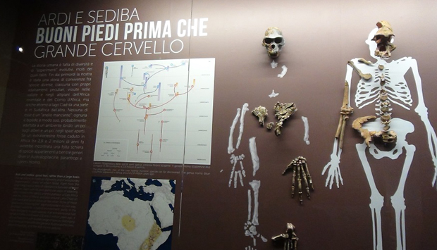 “Homo sapiens”, l’evoluzione umana in mostra
