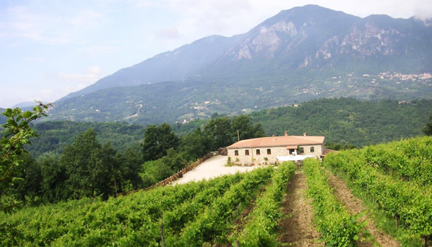 Petilia, la “piccola patria” irpina dei grandi vini campani