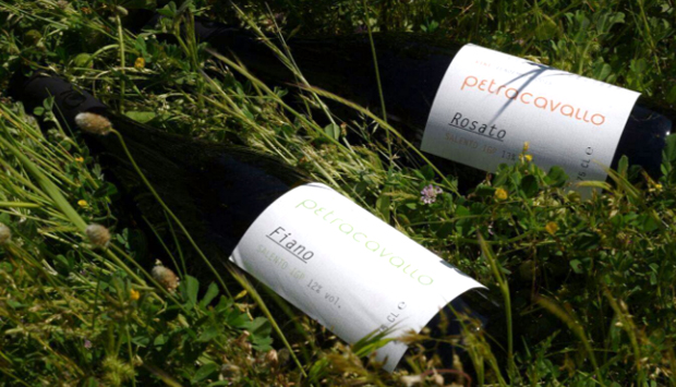 I vini pugliesi biologici di Petracavallo, come quelli del nonno