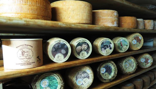 Pecorino Bagnolese d’Irpinia, da latte di razza autoctona avellinese