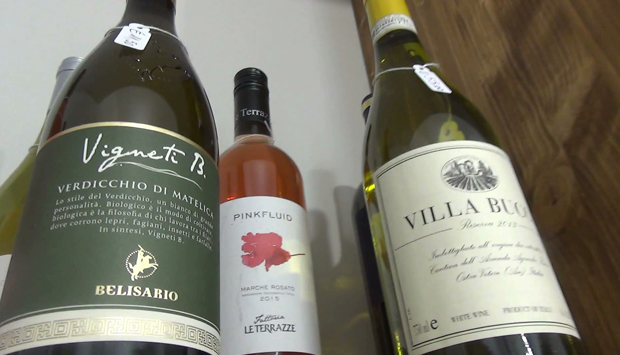 I vini rari tipici del territorio di Pesaro e Urbino, nelle Marche