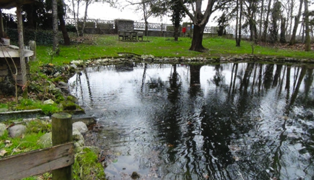 Cos’è e come nasce l’acqua di risorgiva per le risaie del veronese