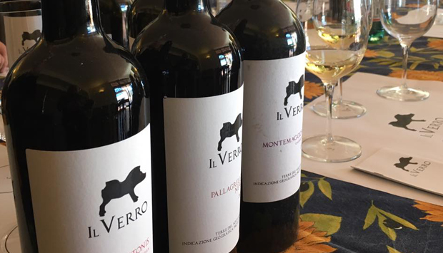 Il Pallagrello, memoria vitivinicola campana in Bianco e Nero, da il Verro