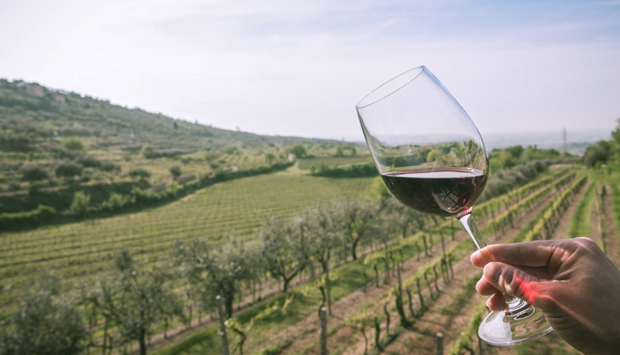 Villa Spinosa a Negrar (VR), vini e cultura nel cuore della Valpolicella