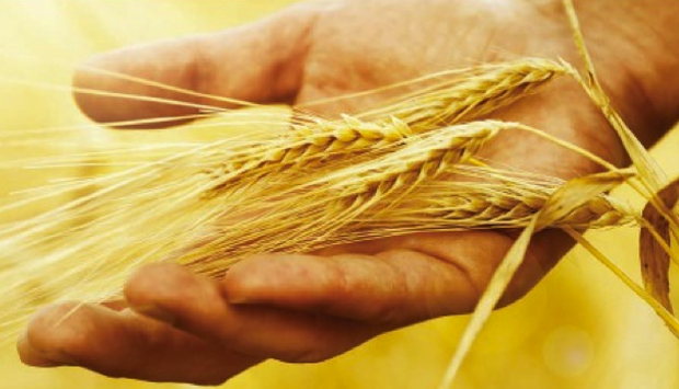 L’antica pasta artigianale di grano duro, tradizione abruzzese da Penne