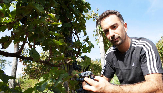 Il Cesanese del Piglio di Giacobbe, orgoglio enoico del Frusinate