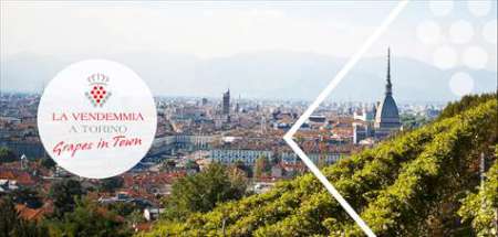 Vendemmie da Torino al Canavese