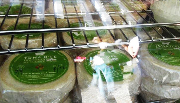 La Tuma di pecora delle Langhe, presidio Slow Food del Piemonte