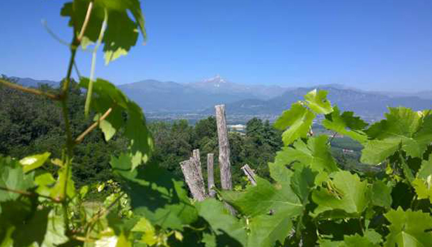 Il catalogo 2018 di Proposta Vini: le novità più interessanti