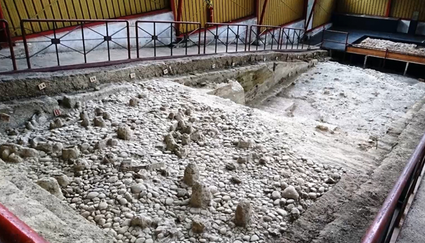 Parco Paleontologico di Notarchirico sito lucano di rilievo internazionale