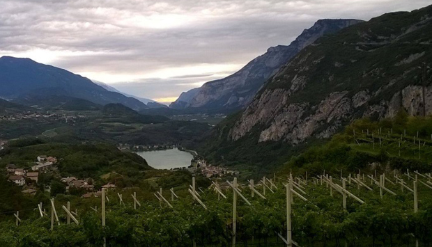 Naran Johanniter, bollicine a impatto zero della trentina Pravis