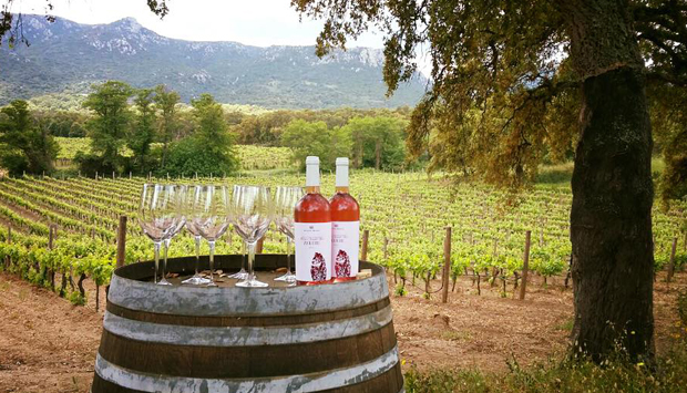 Masone Mannu, Vermentini e rossi superiori dalla Sardegna