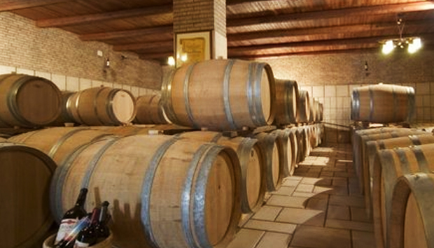Mille sfumature di Rosso Conero nei vini marchigiani di Silvano Strologo