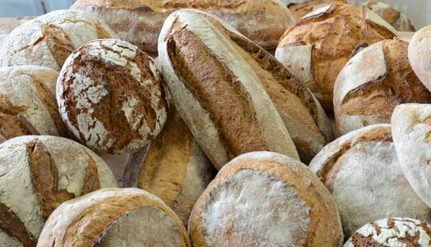 Dalla Cascina Sant’Alberto di Rozzano (MI), il pane totalmente “milanese”