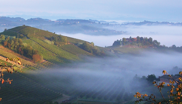 I vini territoriali del Roero dell’azienda familiare di Fabrizio Pinsoglio