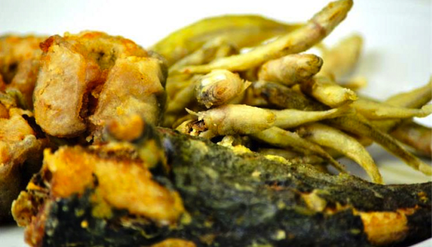 La cucina gastro-fluviale per Claudia Cattivelli dell’omonima Trattoria