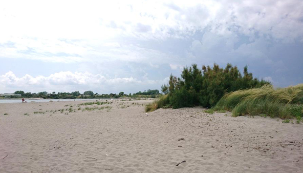 Spiagge di Rosolina Mare (Rovigo), immerse nel Parco del Delta del Po