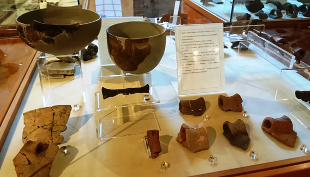 Museo Archeologico di Cesena, reperti del territorio fin dalla Preistoria