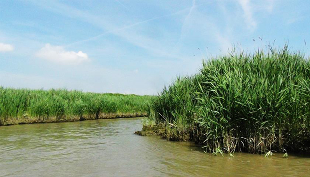 Gita in Pescaturismo nel Delta del Po veneto, escursione sensazionale