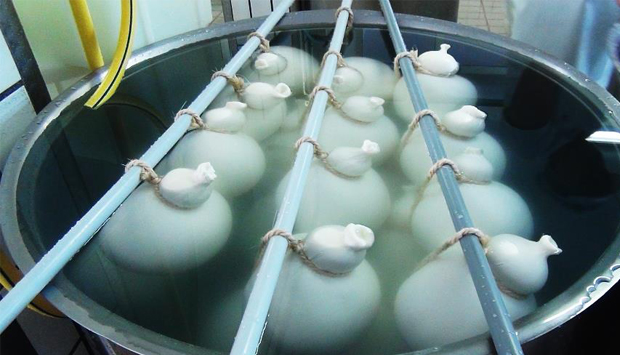 Caseificio Di Nucci ad Agnone, formaggio all’antica nel cuore del Molise