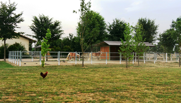 Agriturismo Corte Benetti, la migliore ospitalità “naturale” di Rovigo