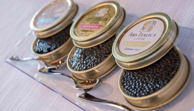 Ars Italica, il caviale nasce nel Parco Ticino, dove nuota il Re Storione