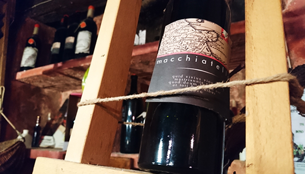 Macchiatello, vino di Vico del Gargano da uve scoperte da Nello Biscotti