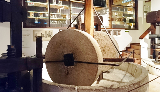 Da Turri, il Museo dell’Olio d’Oliva a Cisano, sul Garda veronese