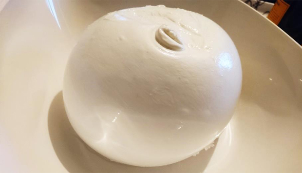 Zizzona di Battipaglia Point di Milano, squisitezze dal latte di bufala