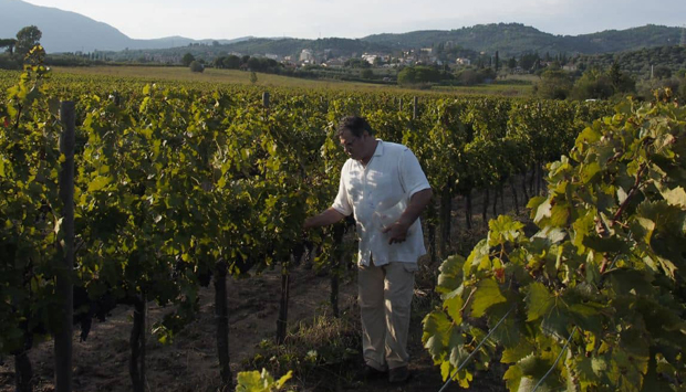 Gualdo del Re, grandi vini toscani da una passione di famiglia