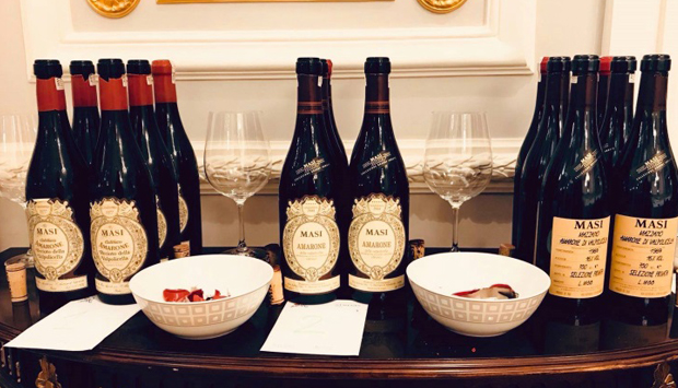 Nelle vigne in Valpolicella di re Amarone
