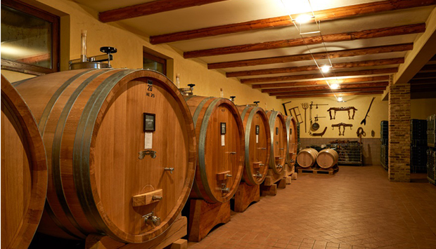 Cascina Morassino, vini della dinastia vitivinicola Bianco a Barbaresco