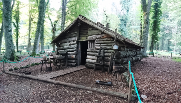 Museo naturalistico della Foresta Umbra, Ambiente e Uomo nel Gargano