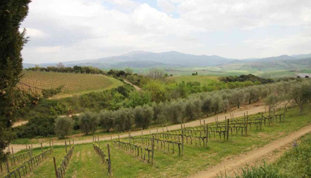Il Brunello e i vini di Montalcino di Corte dei Venti