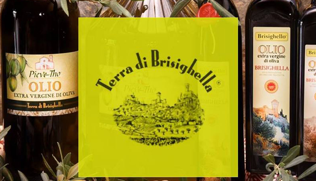 Nostrana, Ghiacciola, Orfana, cultivar di olive degli oli di Brisighella
