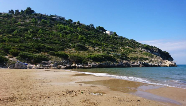 Spiaggia di Procenisco a Peschici, abbracciata dalla natura del Gargano